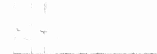 穗䳭(oenanthe/libanotica) - ML619047443