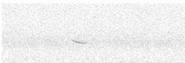Дрізд-короткодзьоб плямистоволий - ML619047806