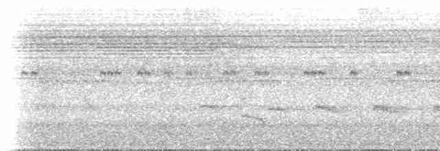 Мурав’янка-прудкокрил перуанська - ML619049537