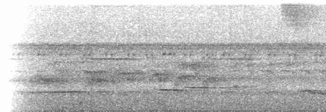 White-necked Thrush (Gray-flanked) - ML619049882