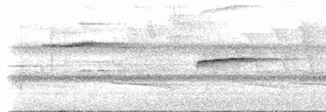 plystresmett (marginatus gr.) - ML619050008