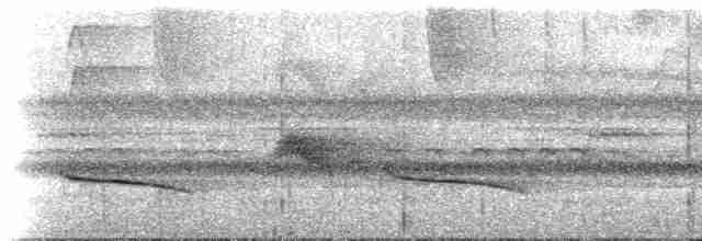 Smaragdan oreillard (groupe leucotis) - ML619050017