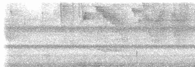 rorýs bělokrký - ML619050061