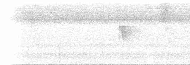 Sarı Alınlı Sinekkapan (phoenicurus/aureiventris) - ML619050776