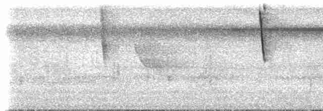 Черноухая колибри-фея - ML619050826