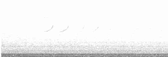 Einsiedelwasserläufer - ML619052219
