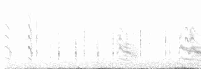 Черноухая крачка - ML619052795