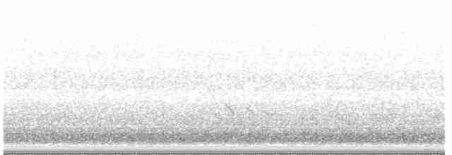 Короткоклювый бекасовидный веретенник - ML619053106