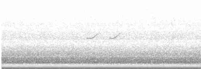 Einsiedelwasserläufer - ML619053122
