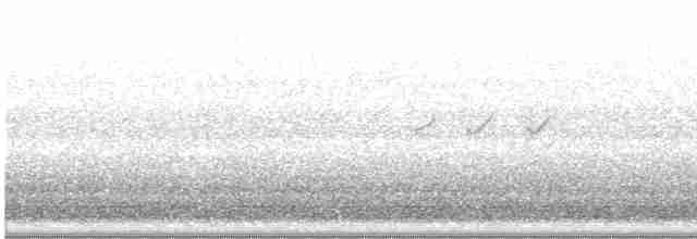 Einsiedelwasserläufer - ML619053124