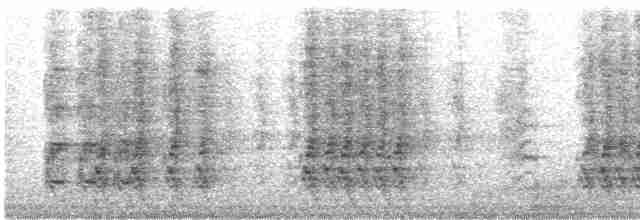 Chara de Steller - ML619053133