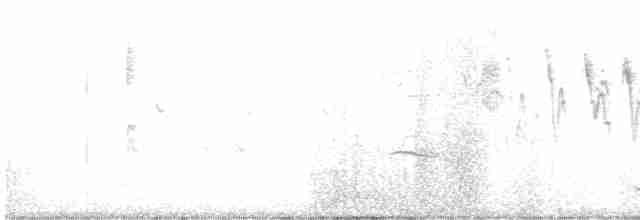 Малая вильсония - ML619053486