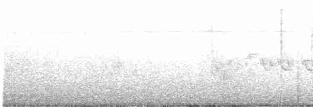 Pouillot de Swinhoe - ML619053574