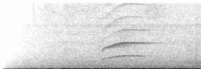 Дрізд-короткодзьоб чорноголовий - ML619053630