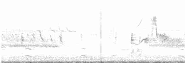 Каролинский погоныш - ML619053691