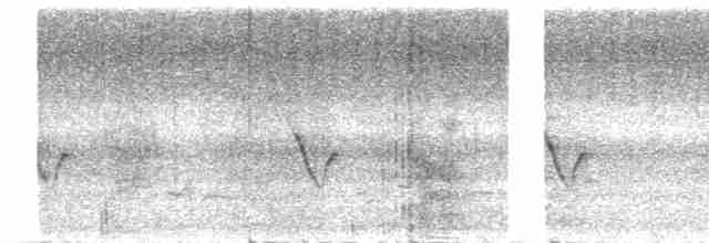 Çivi Vireosu - ML619053692