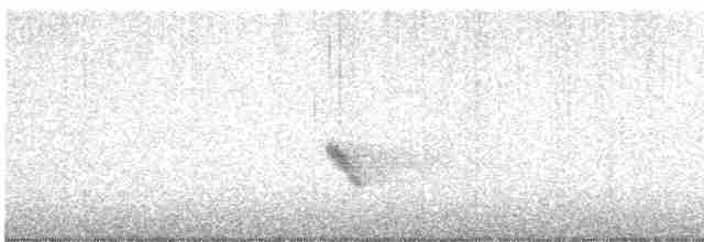 Büyük Mor Kırlangıç - ML619053716