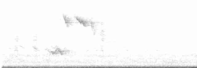Doğulu Mavi Ardıç - ML619053894