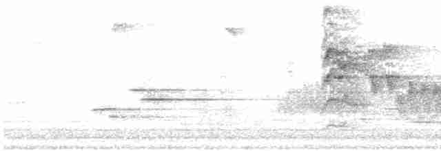Пересмішник сірий - ML619054088