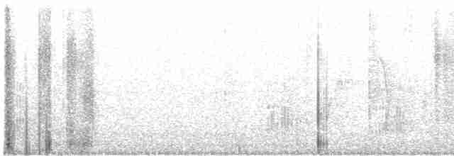 Keel-billed Toucan - ML619055468