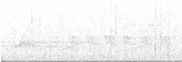 Kentucky Warbler - ML619055714
