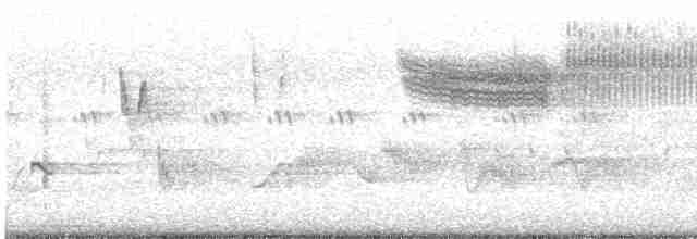 Голубокрылая червеедка - ML619055971