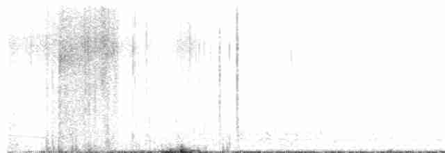 Kuliska hankahori handia - ML619057210