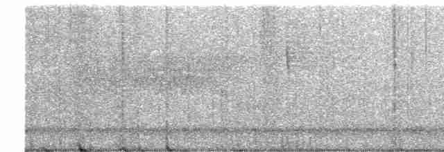 Cerulean Warbler - ML619057545