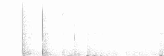 Troglodyte à poitrine grise - ML619058317