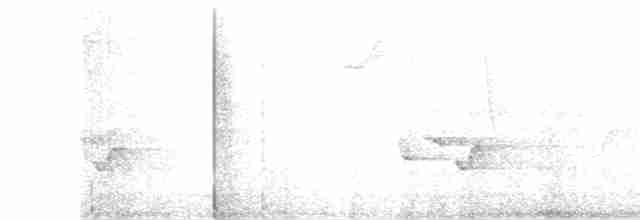 Серогрудый крапивник - ML619058943