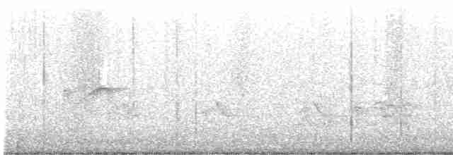 Sarı Karınlı Boreal Sinekkapan - ML619059168