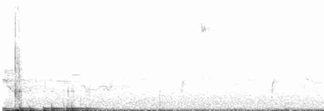 Голубокрылая червеедка - ML619059276