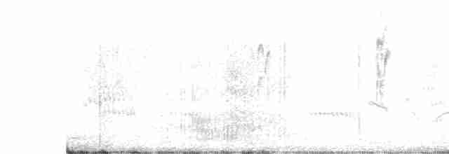 Патагонский конёк - ML619059313