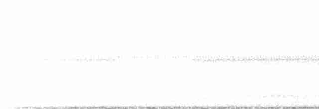 Carolinanachtschwalbe - ML619059499