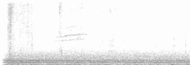 Дрозд-отшельник - ML619059613