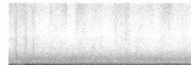 Белокрылый бекард - ML619059665