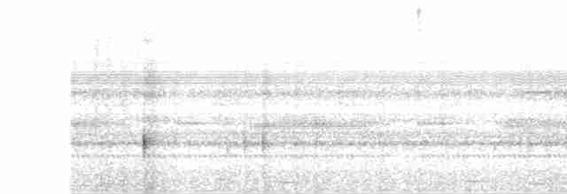Breitspiegel-Nachtschwalbe - ML619059690