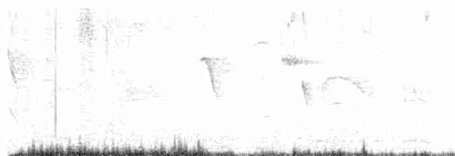 Crested Bobwhite - ML619059761