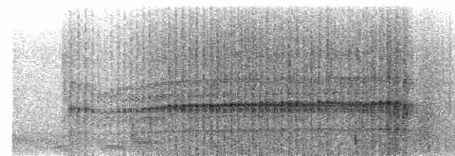 Дятел-смугань сіроголовий - ML619059916