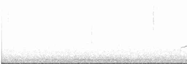 Дрізд-короткодзьоб Cвенсона - ML619060120