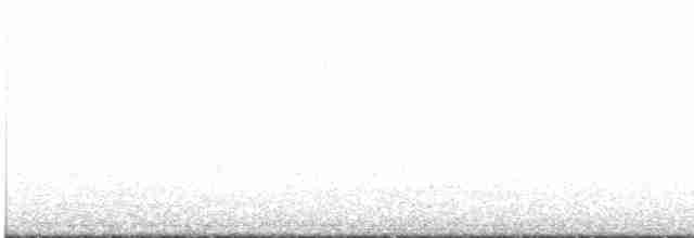 Münzevi Bülbül Ardıcı - ML619060192