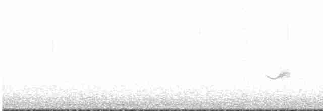 Бурый соловьиный дрозд - ML619060269