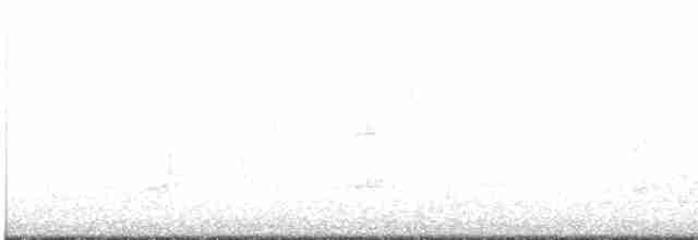Дрізд-короткодзьоб плямистоволий - ML619060318