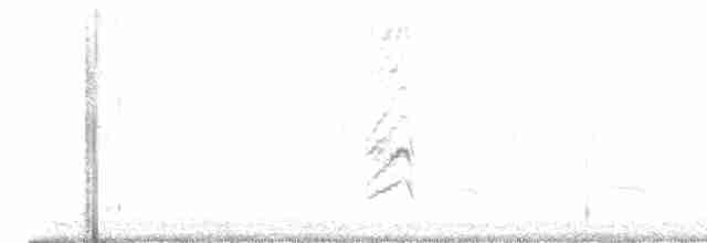 Büyük Kuyruklu Kiskal - ML619060348