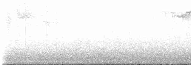 Kara Kanatlı Piranga - ML619061136
