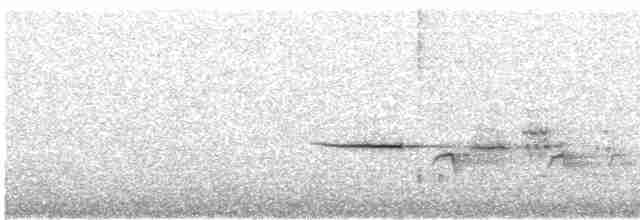 Дрізд-короткодзьоб плямистоволий - ML619062010