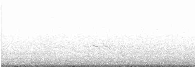kortnebbekkasinsnipe - ML619062119