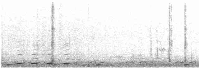 hærfugl (epops gr.) - ML619062238