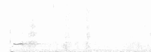 Черногорлая малая овсянка - ML619062308
