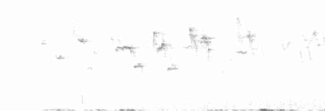 Пісняр-лісовик жовтогузий (підвид auduboni) - ML619062312
